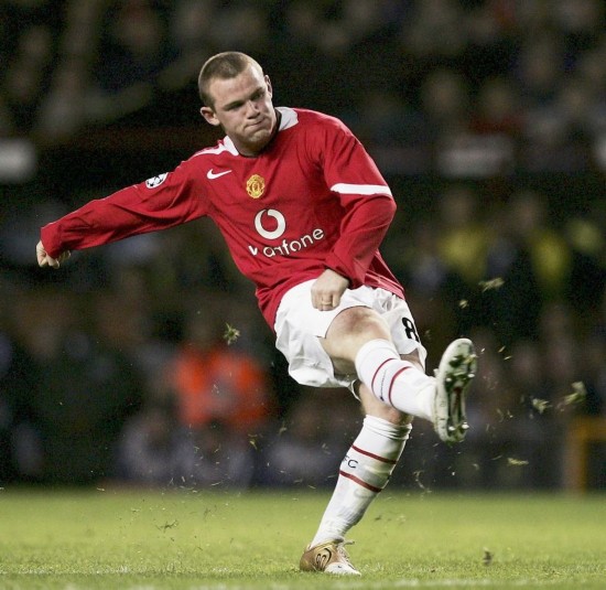 与营养的双 与营养的双