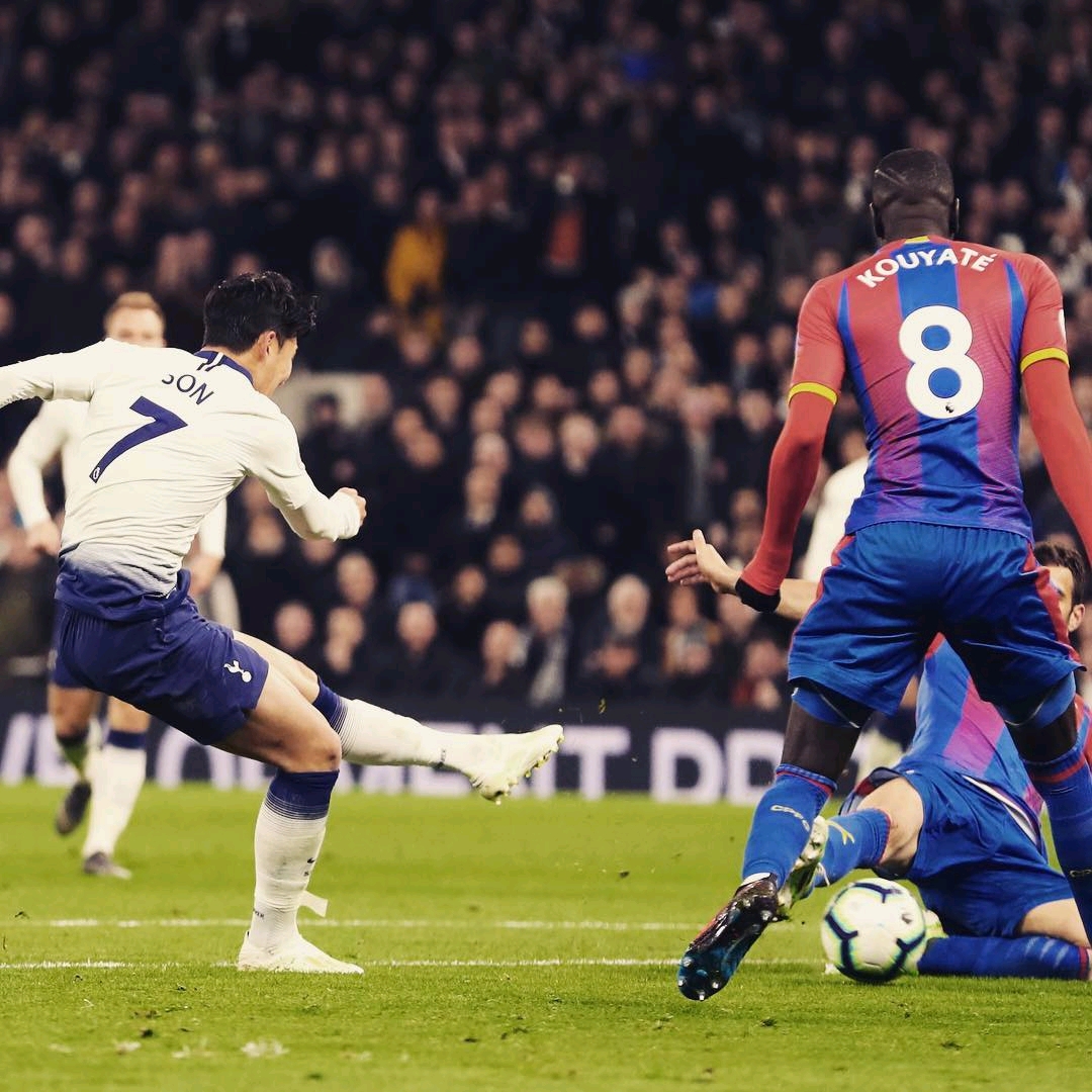 葡体不断追 葡体不断追